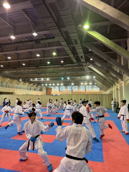 空手道專長圖片